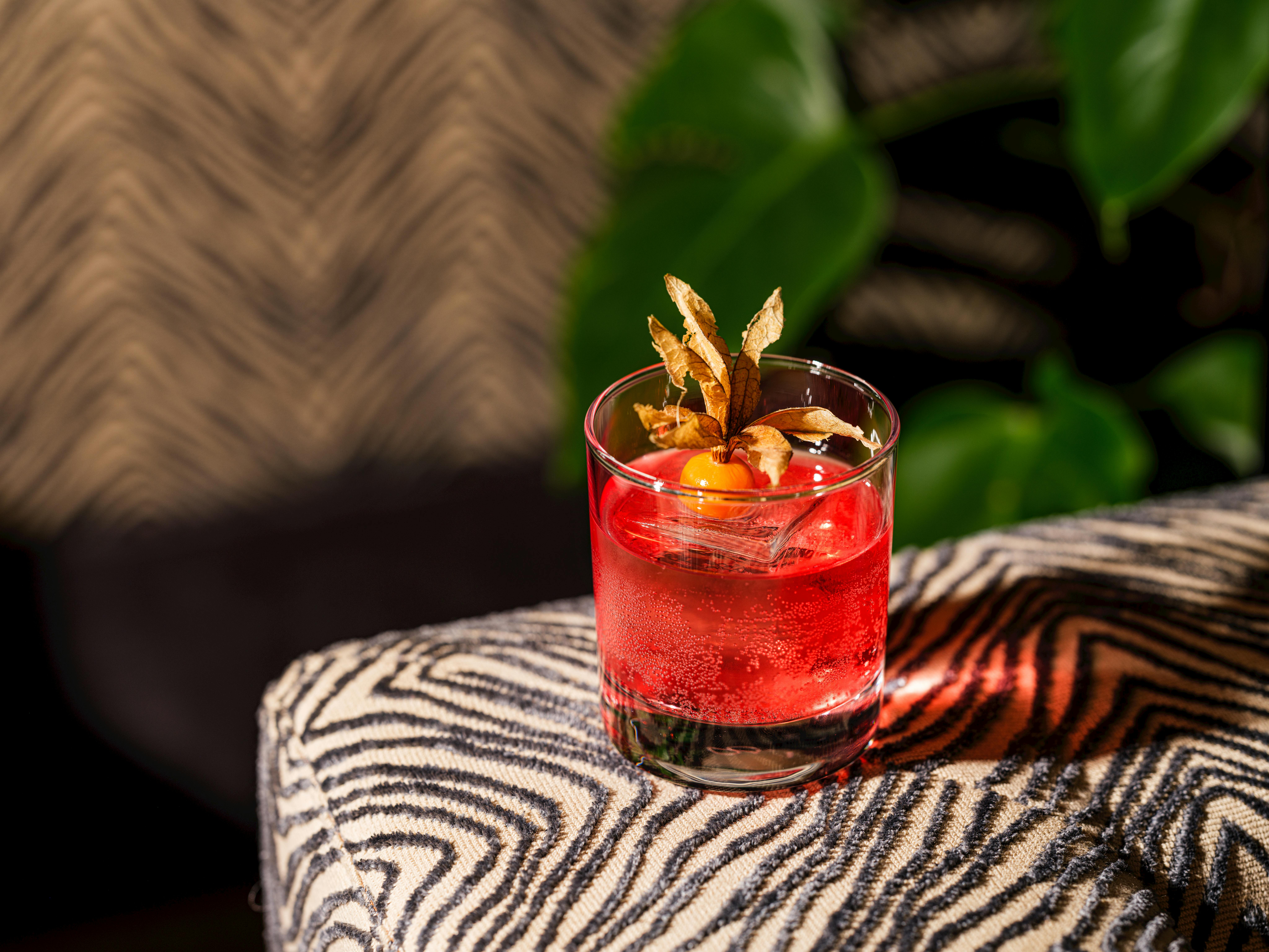 I 5 migliori cocktail da provare per gli amanti del gin